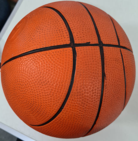 Basket Soft Foam Ball